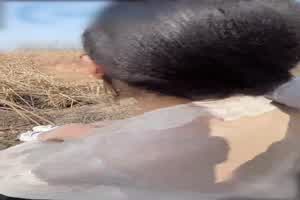 『海角社区』乱伦大神强上女房东 以记录之名把少妇房东野外按在草地疯狂输出  背景图片