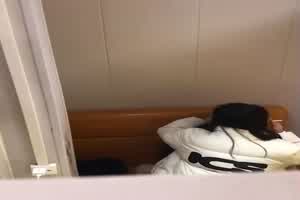 冒死偷拍小情侣餐厅包间，饥渴难耐沙发上抱操，哼哼唧唧的声音引人陶醉  背景图片