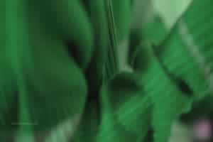 刘玥 万圣节吸屌鬼小姐姐帮我服务  背景图片