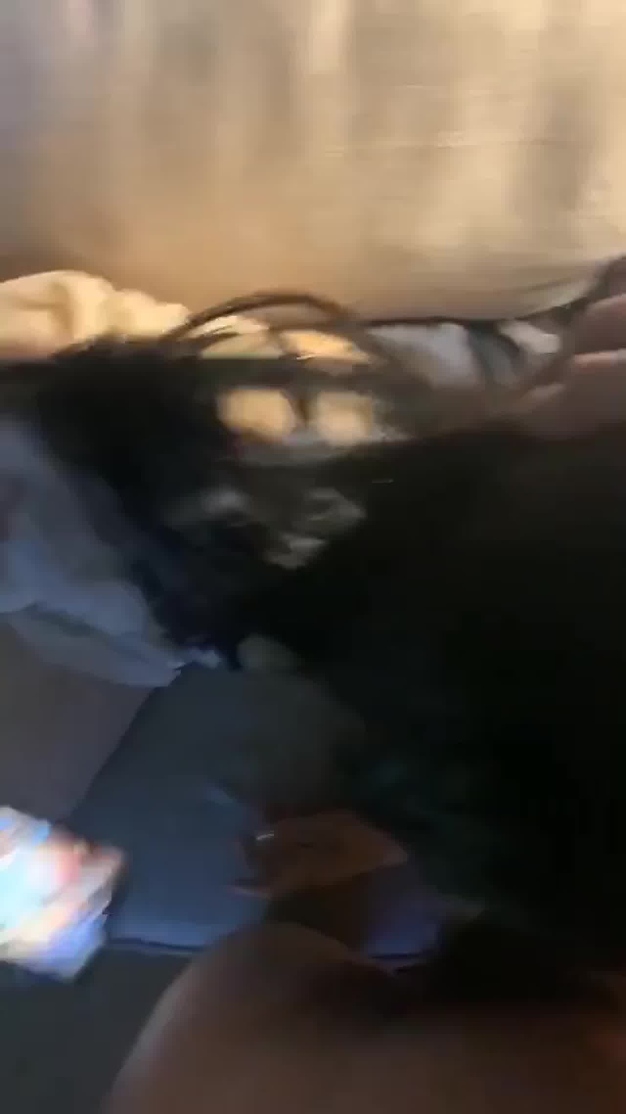  打王者呀 ！你先玩着我干一炮  ！ 的剧照10