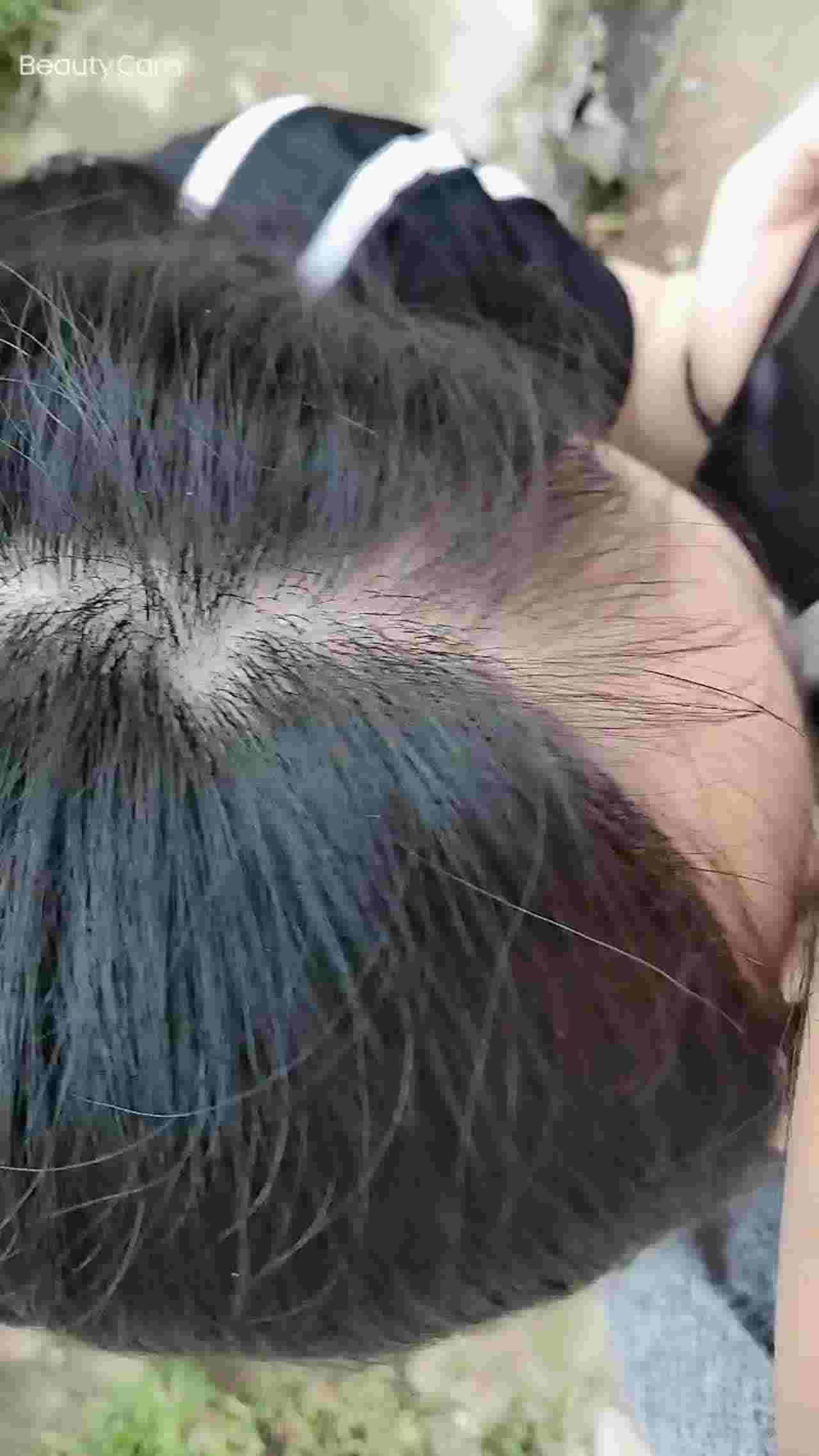  对面好多老头摘枇杷 的剧照9