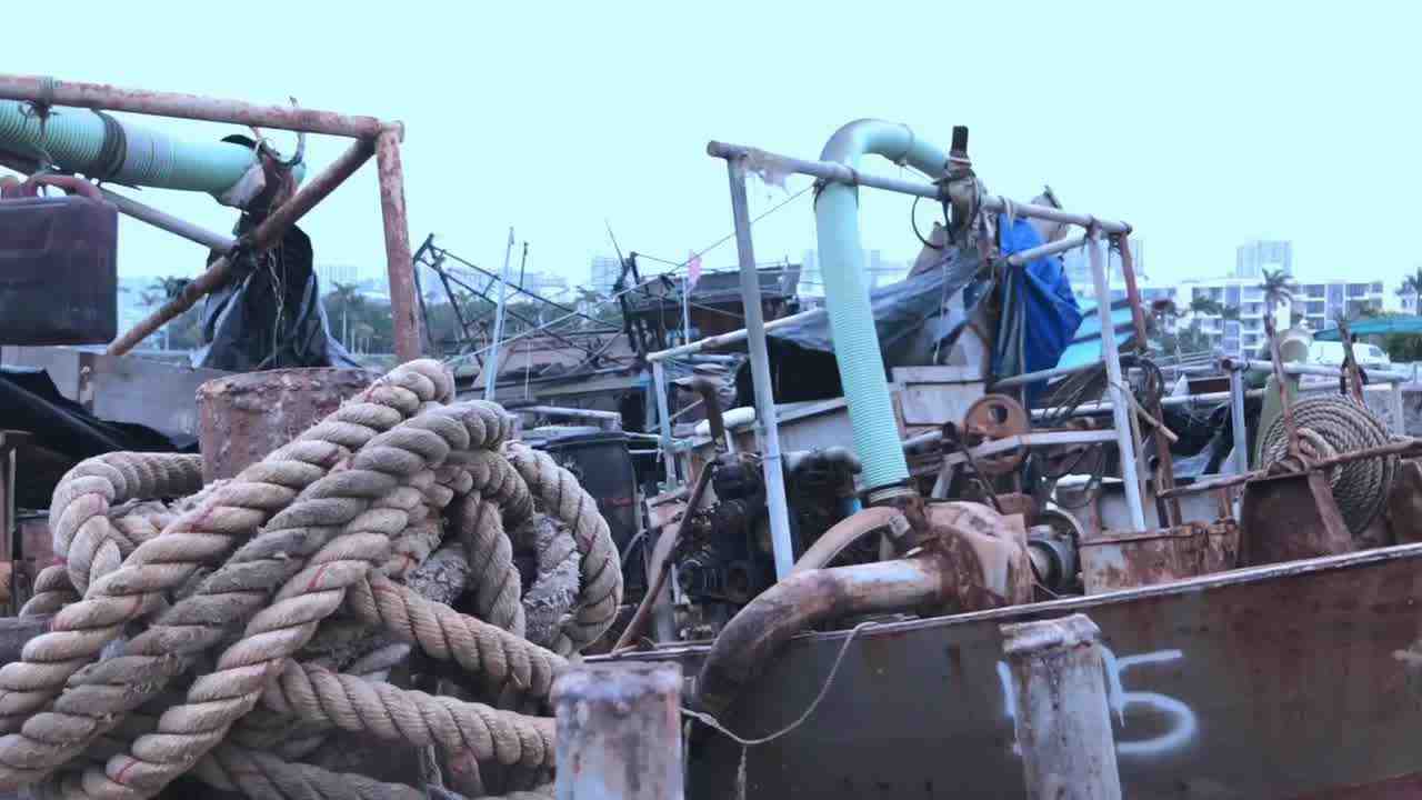  中国超高颜值美少女qinweiyingjie 户外港口露出 的剧照1