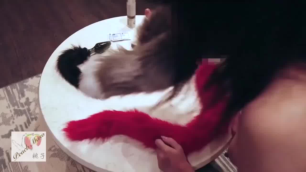  小母狗“桃子”的调教实录~ 用肛塞尾巴堵住菊花，乞求主人操她 的剧照6